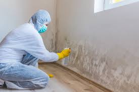 Best Mold Remediation for Healthcare Facilities  in Chillum, MD