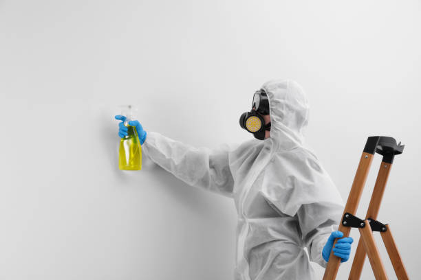 Best Mold Removal for HVAC Installations  in Chillum, MD