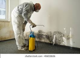 Best Biohazard Mold Removal  in Chillum, MD